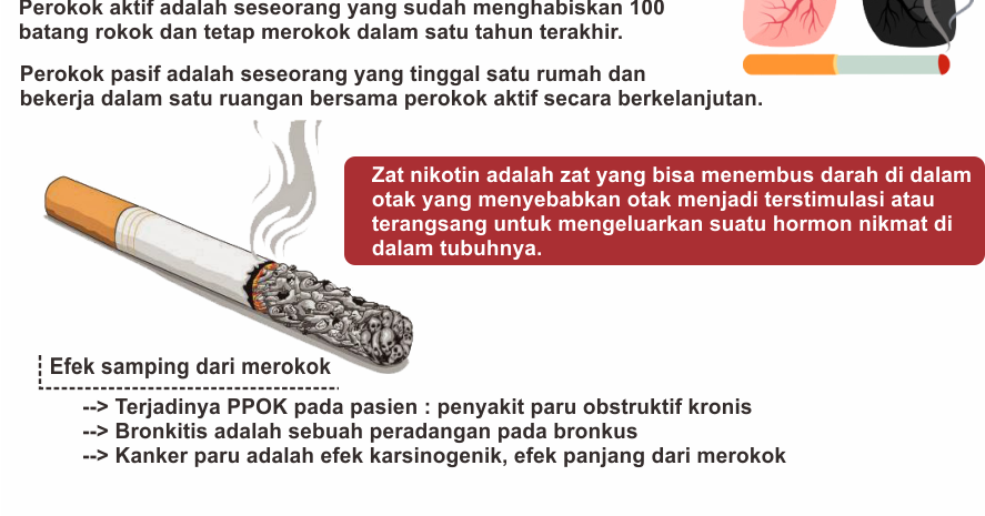 Rokok, Nikotin, dan Efeknya